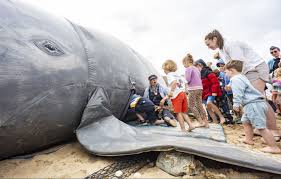 Great Big Green Week