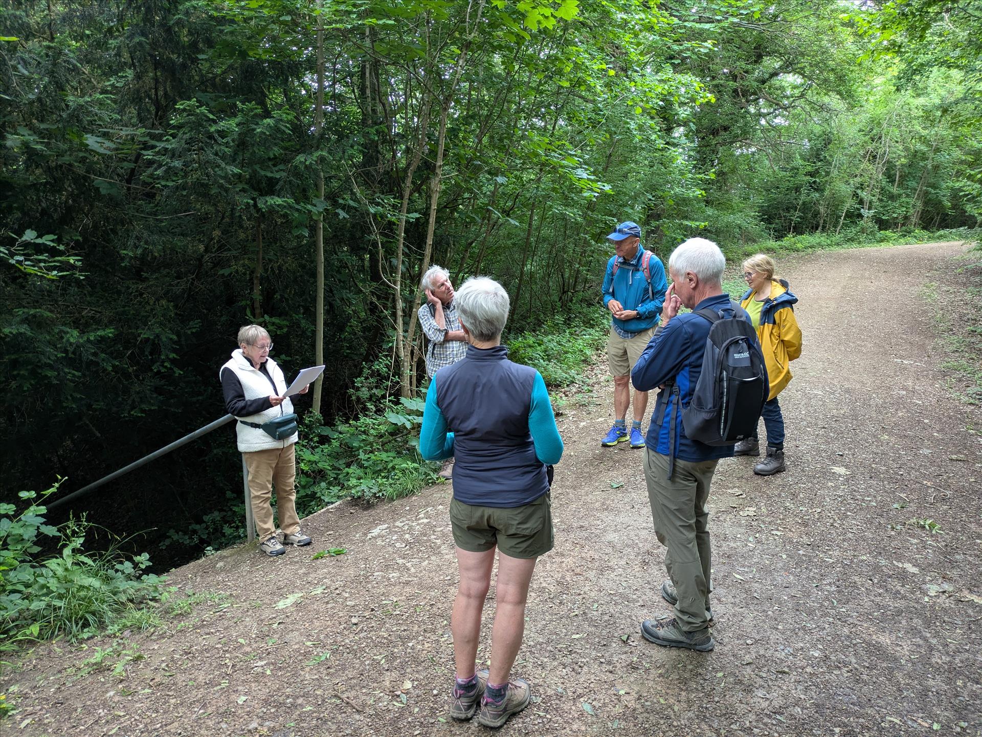 A small group walking towards a large tree in the countryside.
