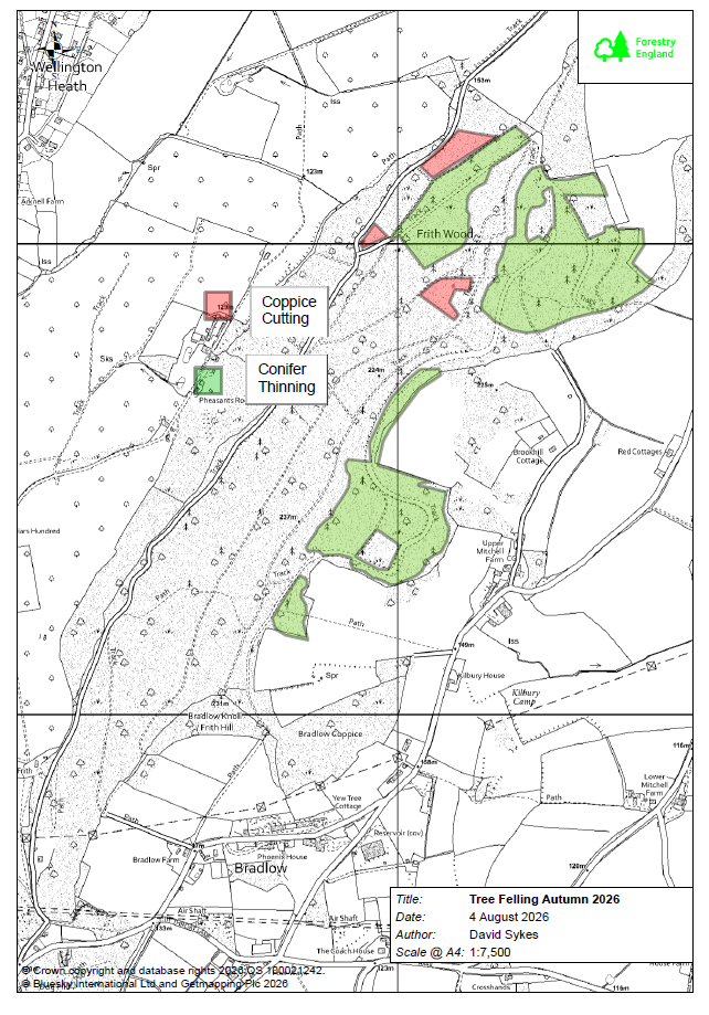 Forestry Operations in Frith Wood 