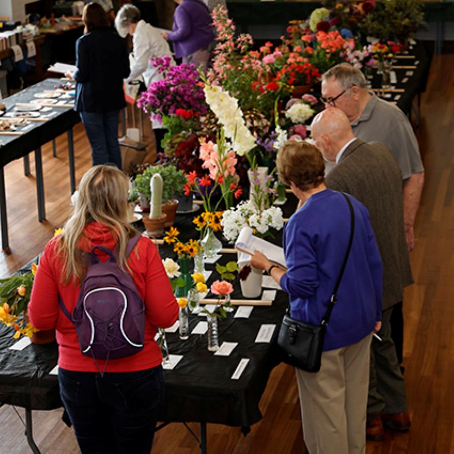 Celebrate 150 Years of Ledbury Horticultural Society – Join the Fun at the 2025 Ledbury Flower Show!