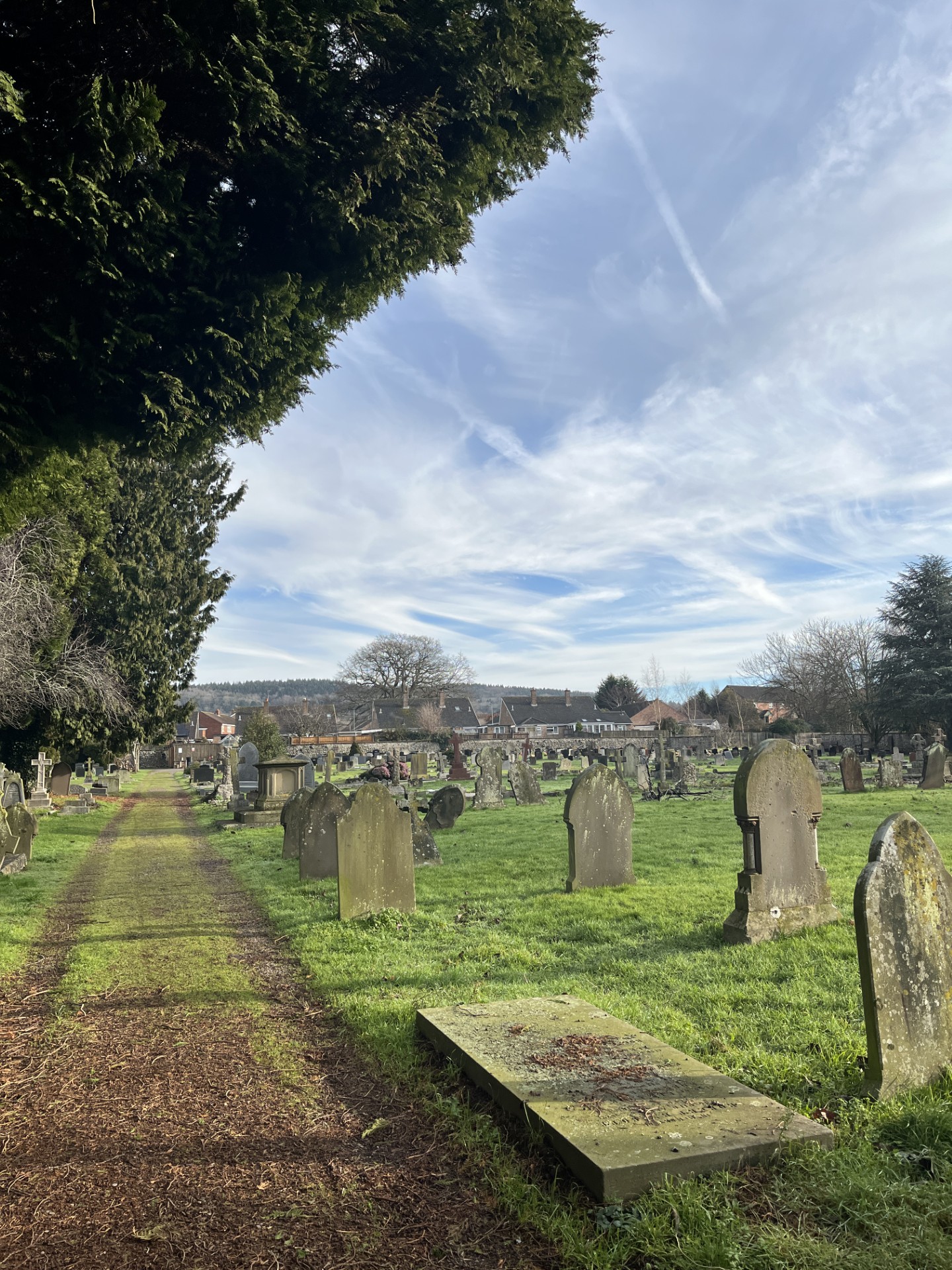 A path in a cemetery on a sunny day.
